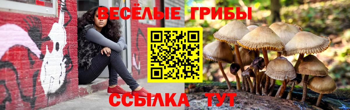 Среднеуральск  Псилоцибиновые грибы мицелий  Вход с VPN 